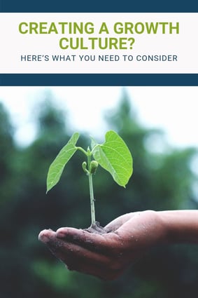 creating-growth-in-business-growth-culture