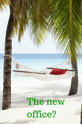 How Does The New Small Business Differ From The Old?