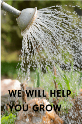 Three Ways SLC Bookkeeping Can Help Your Small Business Grow